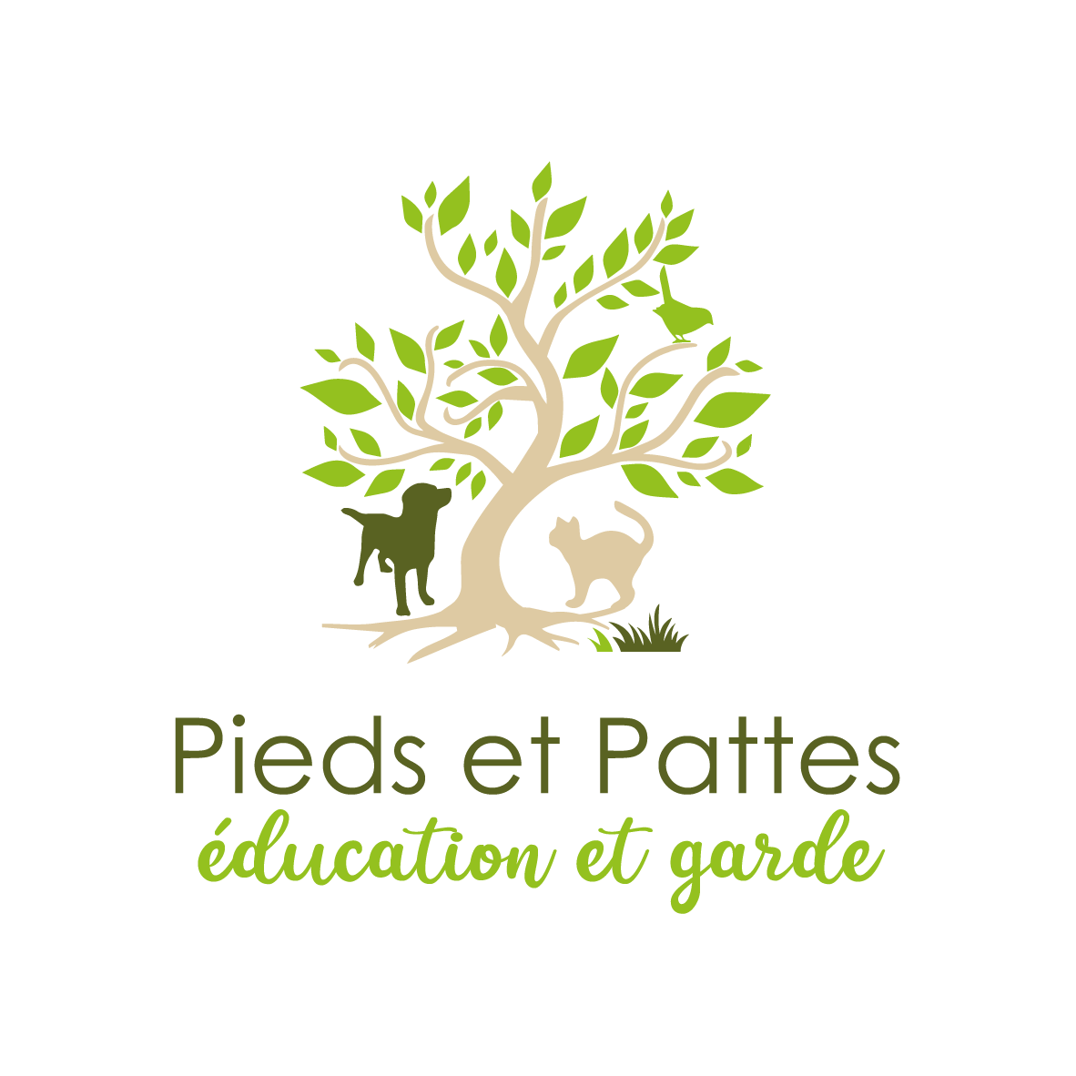 Pieds & Pattes